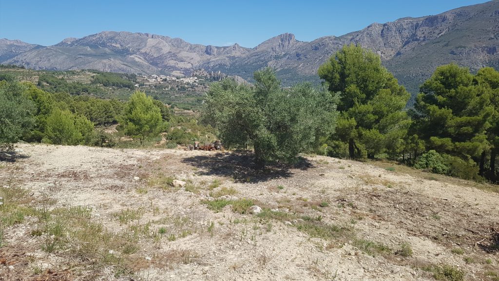Off Grid Tiny Home on Rustic Land in Spain