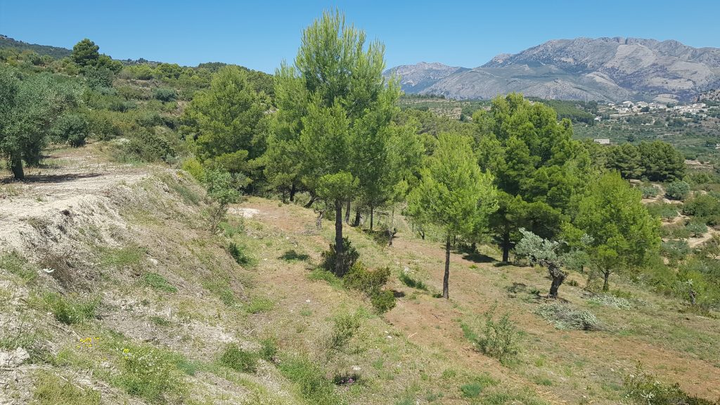 Off Grid Tiny Home on Rustic Land in Spain